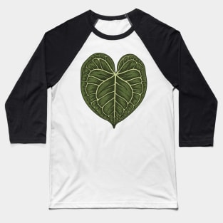 Anthurium Clarinervium Big Leaf Baseball T-Shirt